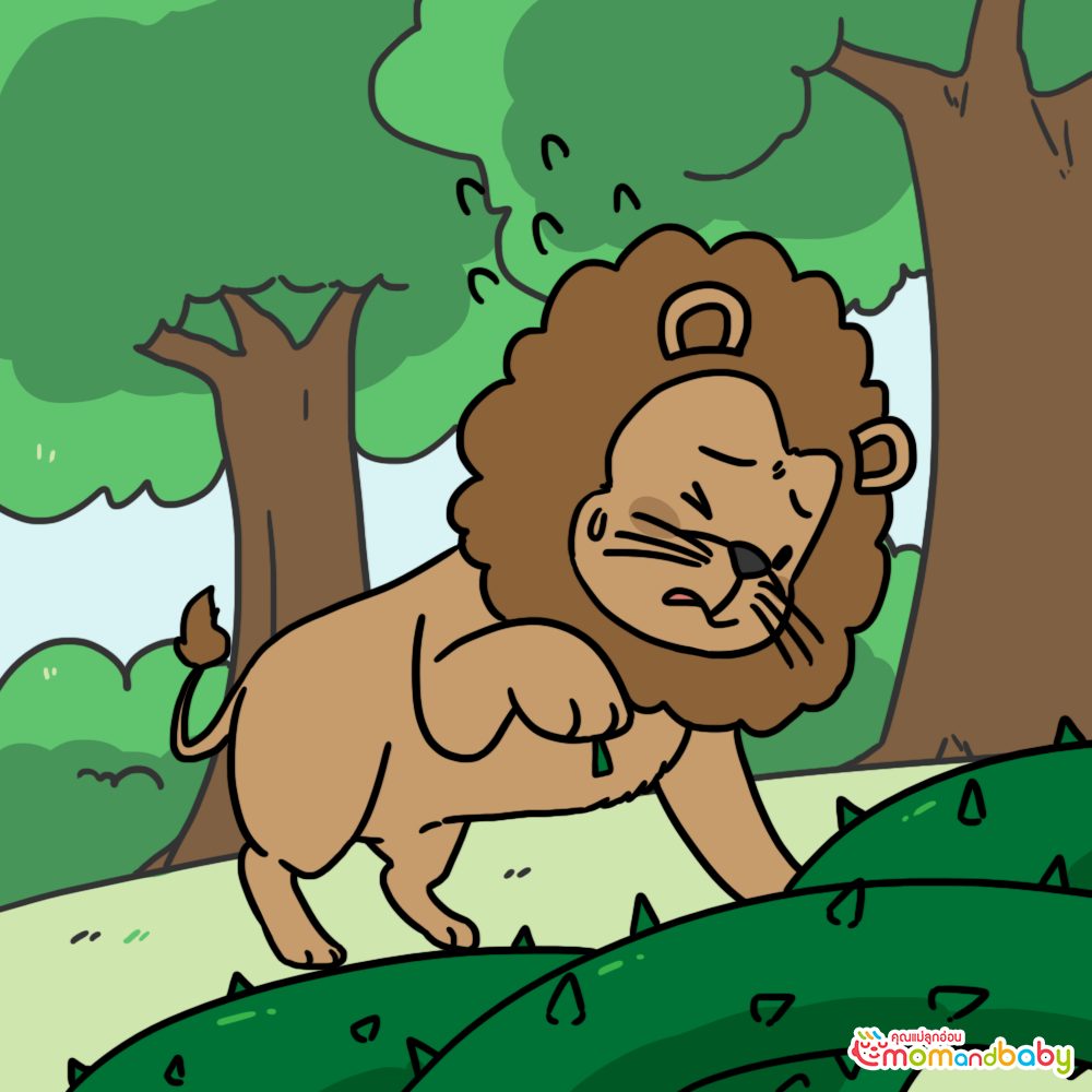 มีสิงโตตัวหนึ่งเดินไปมาอยู่ในป่า แล้วได้ก้าวเข้าสู่พุ่มไม้หนามอย่างไม่ใส่ใจ